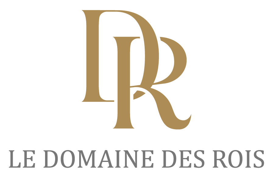 Le domaine des rois salle de réception, mariage 77,91,94,93